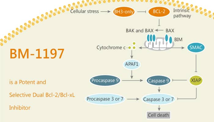 MC0704 is a STAT3 Inhibitor for Triple-negative Breast Cancer