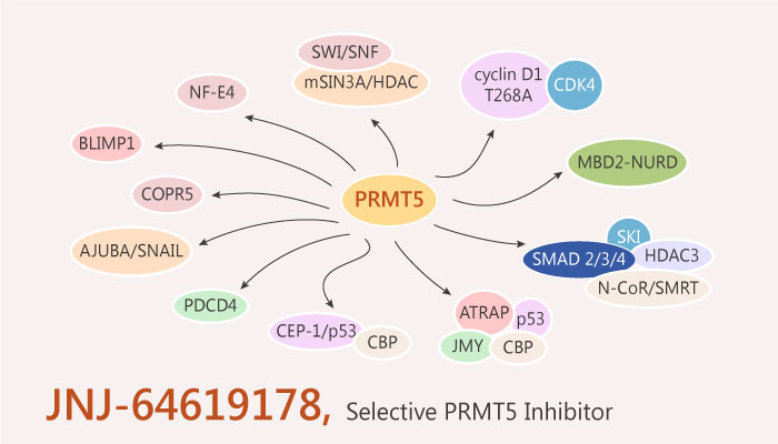 JNJ-64619178 is a Selective PRMT5 Inhibitor with Potent Activity In Lung Cancer
