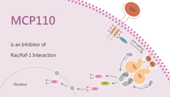 MCP110 is an Inhibitor of Ras/Raf-1 Interaction