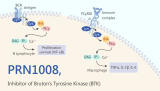 PRN1008 is a Reversible Covalent and Oral Active Inhibitor of Bruton’s Tyrosine Kinase (BTK)